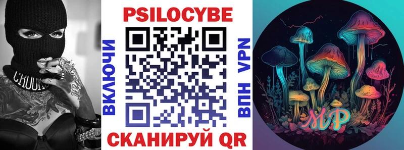Купить  Кострома  Галлюциногенные грибы Psilocybine cubensis 